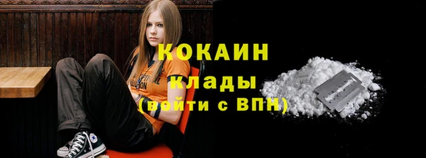 соль ск Алексеевка