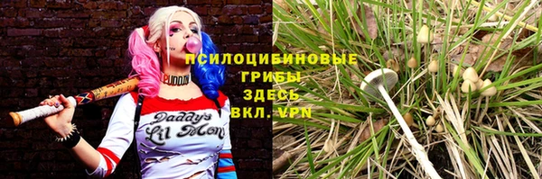 соль ск Алексеевка