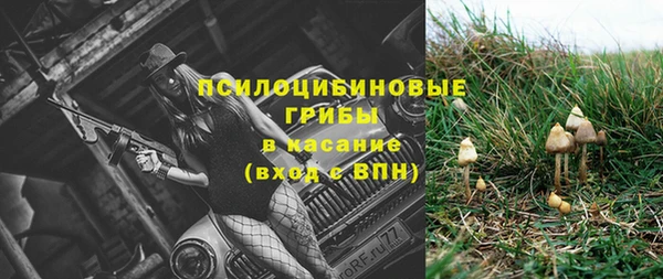 соль ск Алексеевка