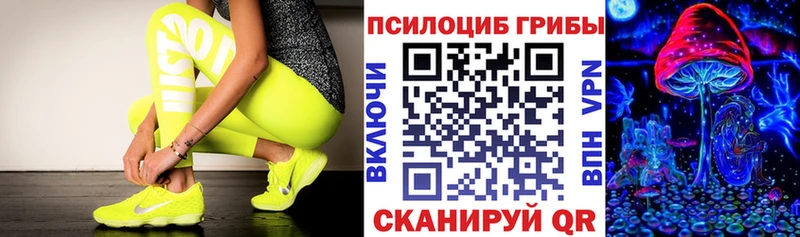 гидра онион  Балабаново  Галлюциногенные грибы Psilocybine cubensis 
